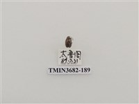 藏品(鞘翅目(2))的圖片